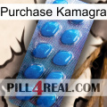 Purchase Kamagra viagra1